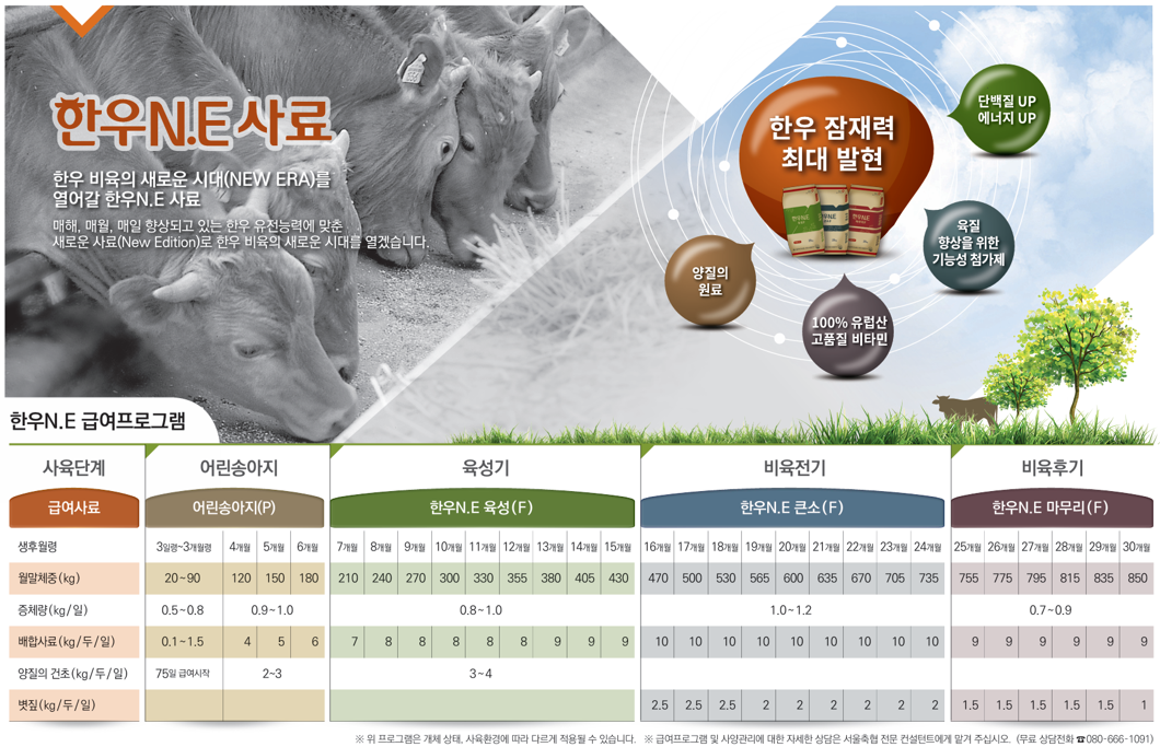 한우NE